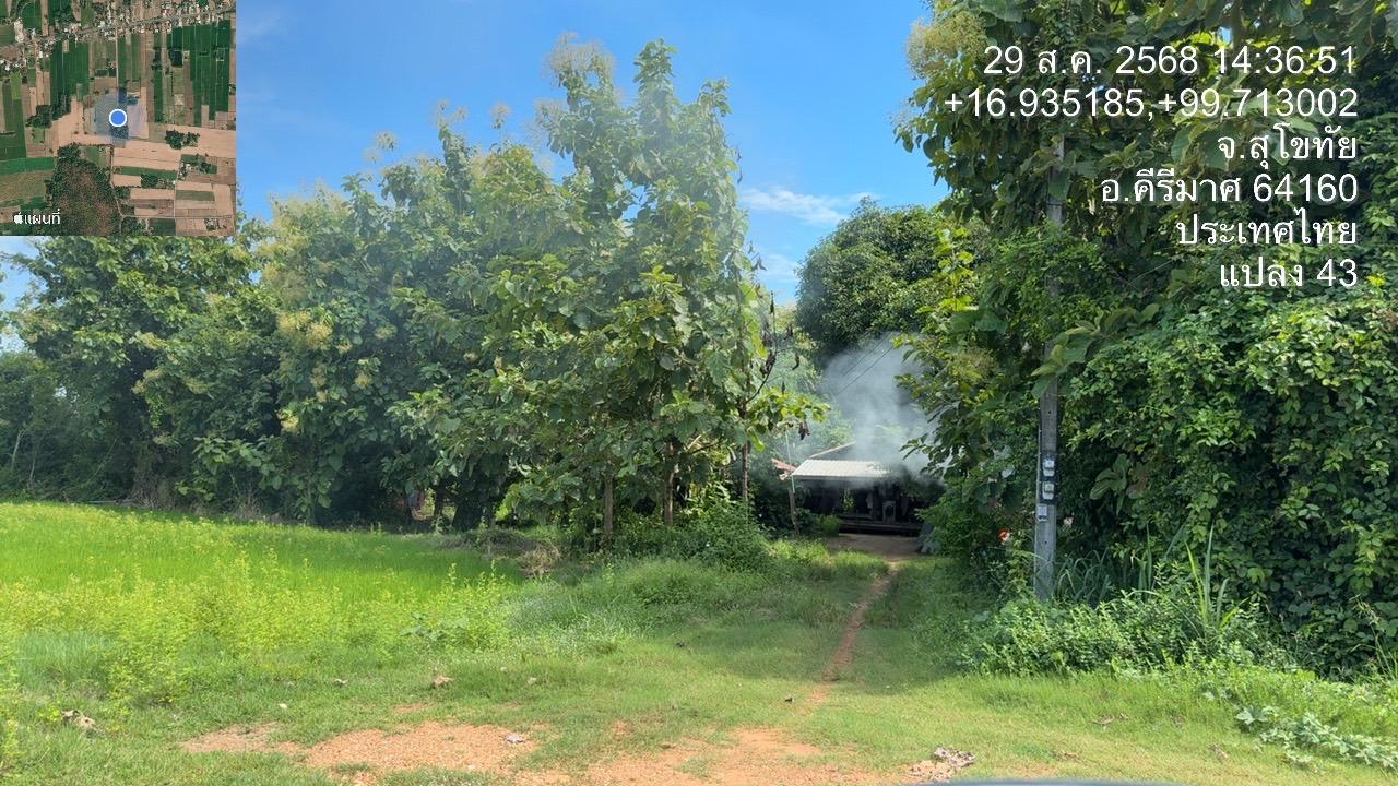 ภาพประกอบที่ 7