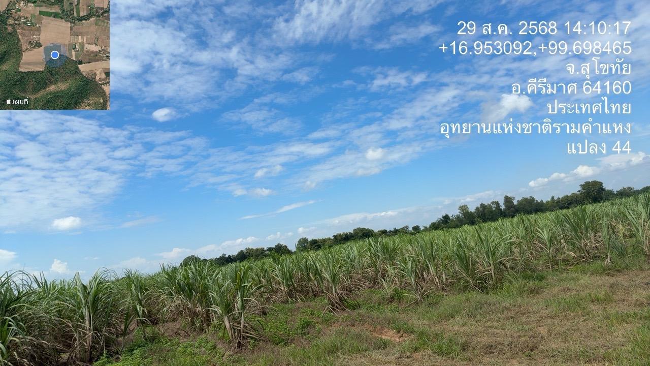 ภาพประกอบที่ 8