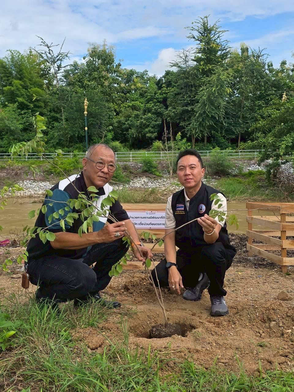 ภาพประกอบที่ 5