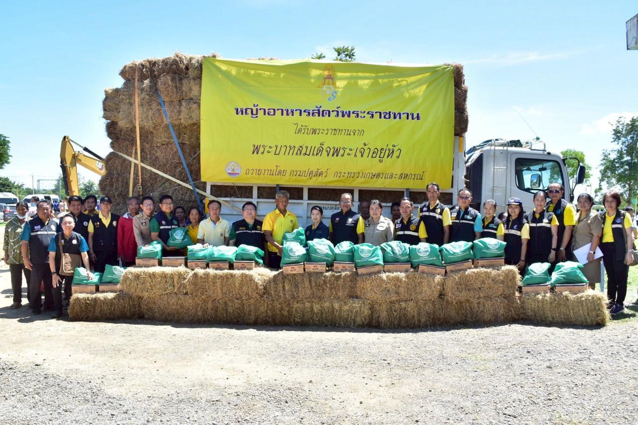 ภาพประกอบที่ 8