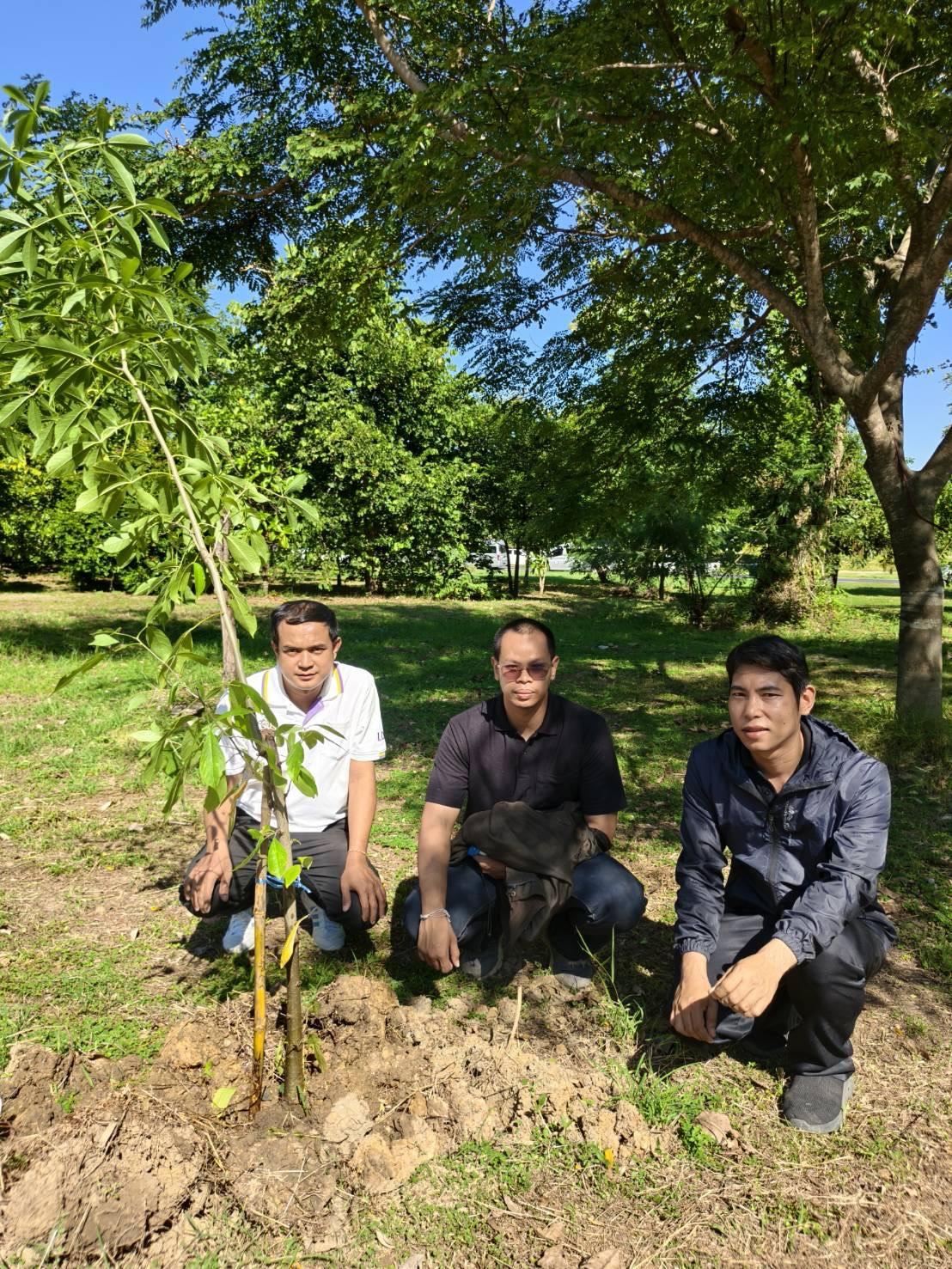 ภาพประกอบที่ 17