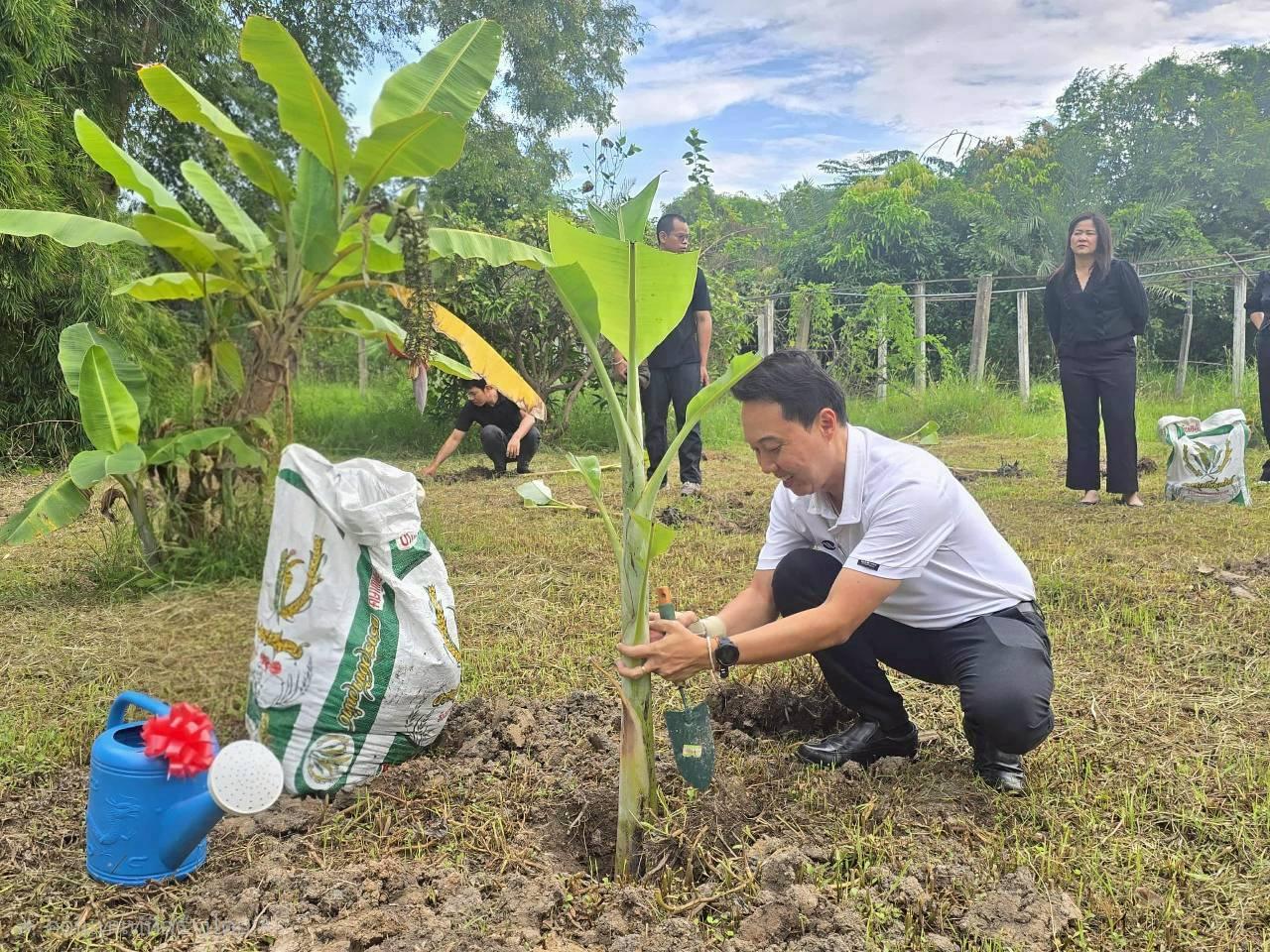 ภาพประกอบที่ 1