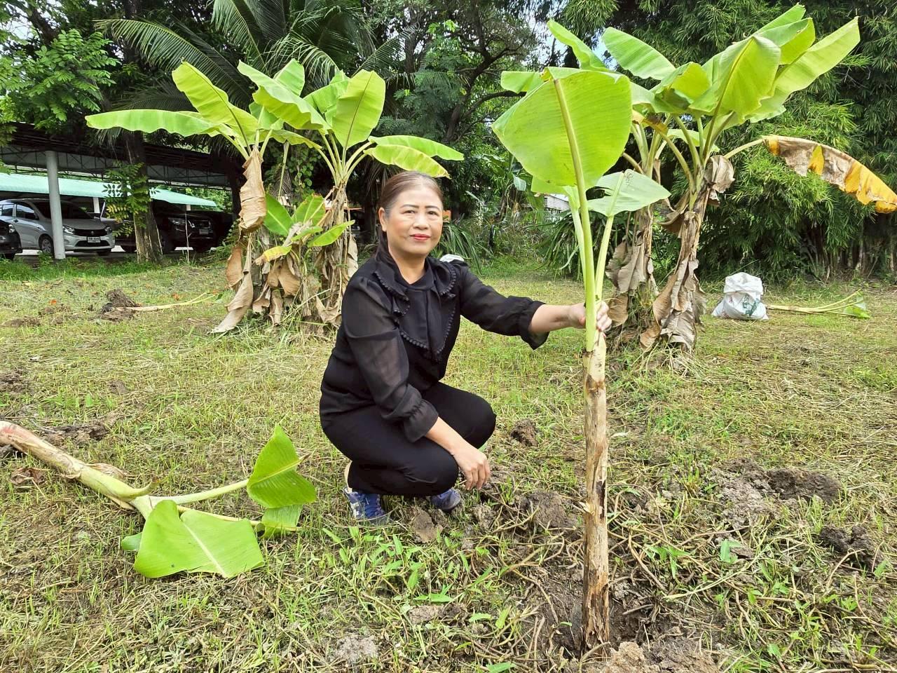ภาพประกอบที่ 3