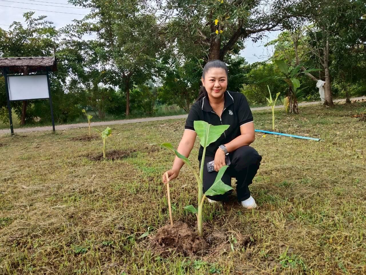 ภาพประกอบที่ 5