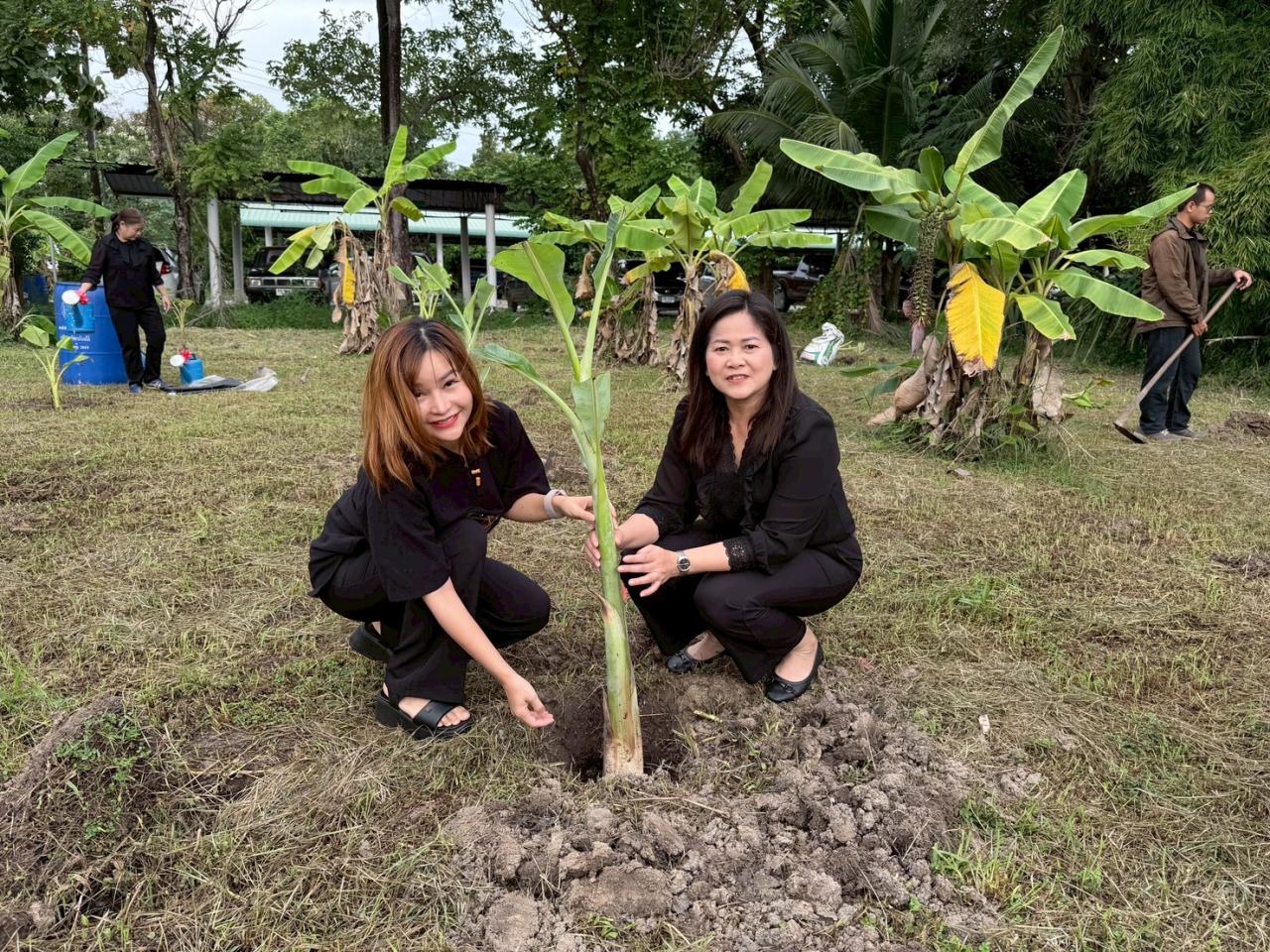 ภาพประกอบที่ 7