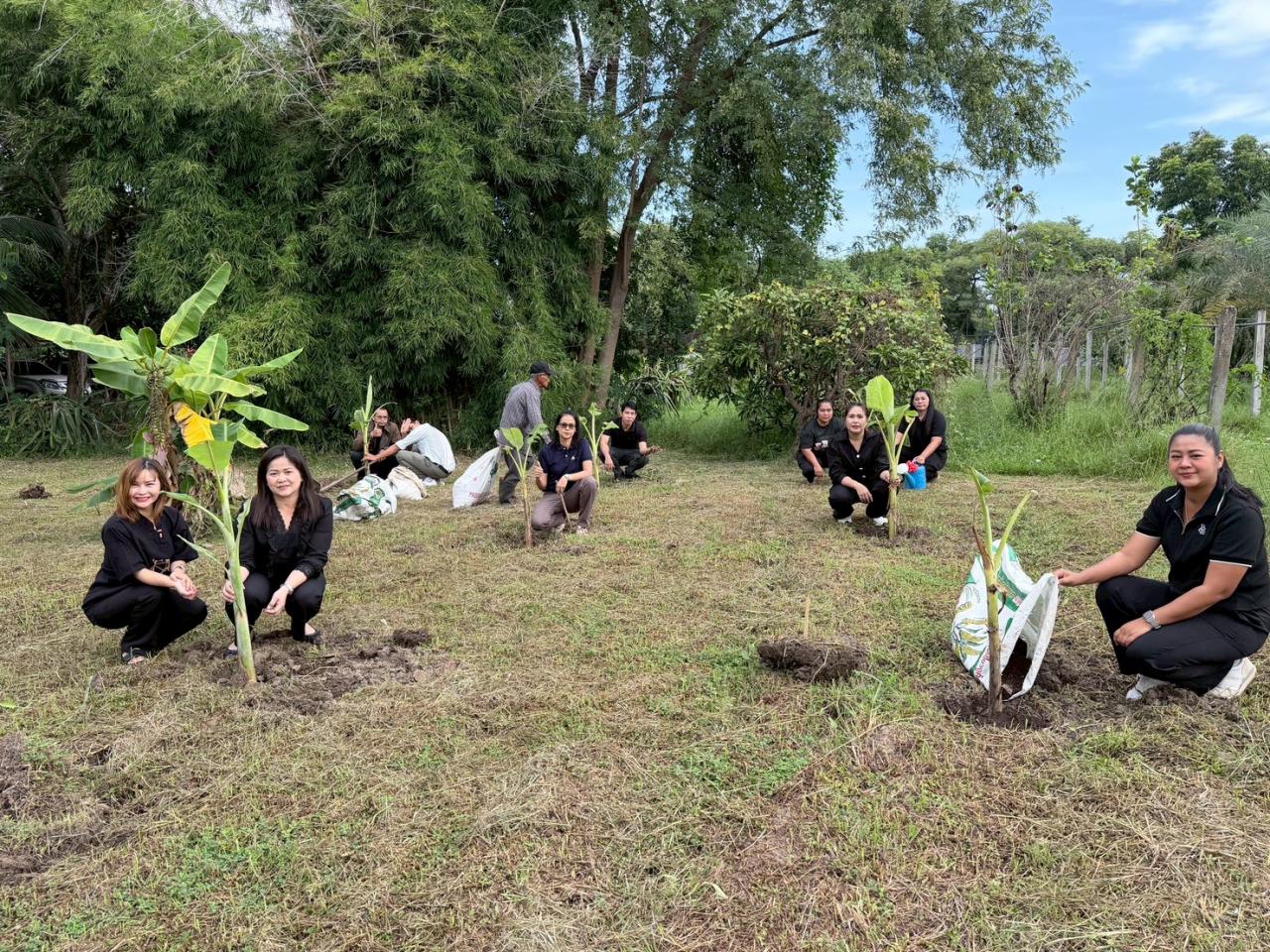 ภาพประกอบที่ 8