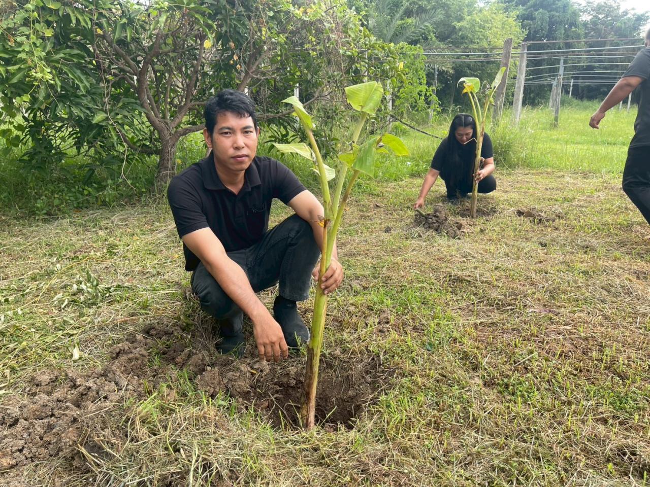 ภาพประกอบที่ 10