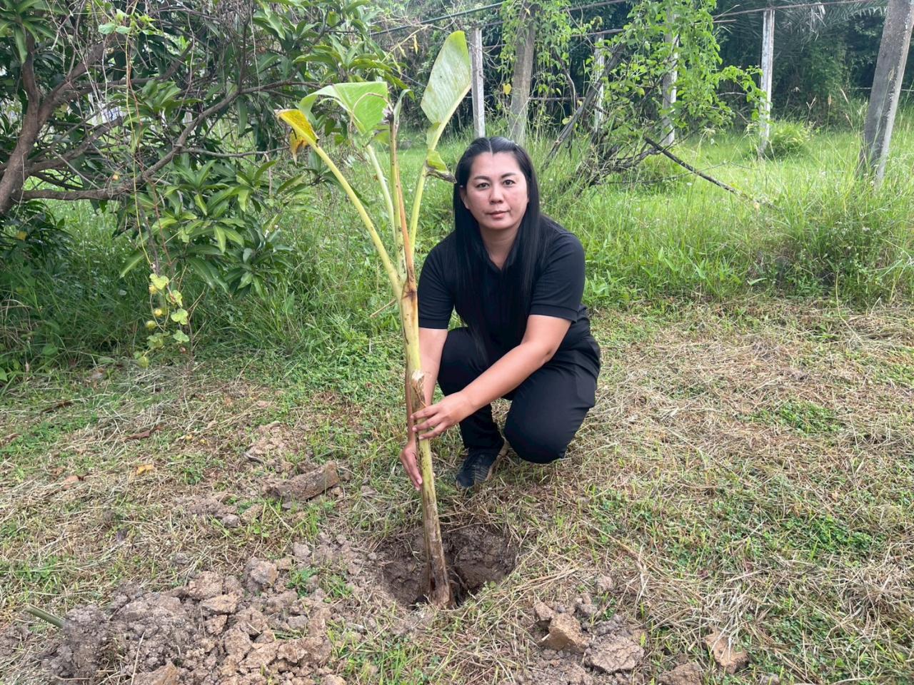ภาพประกอบที่ 11