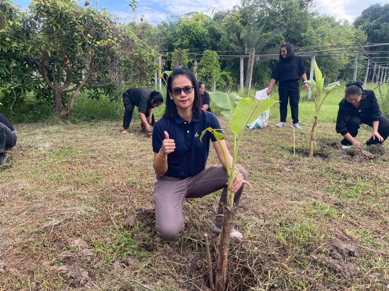 ภาพประกอบที่ 12