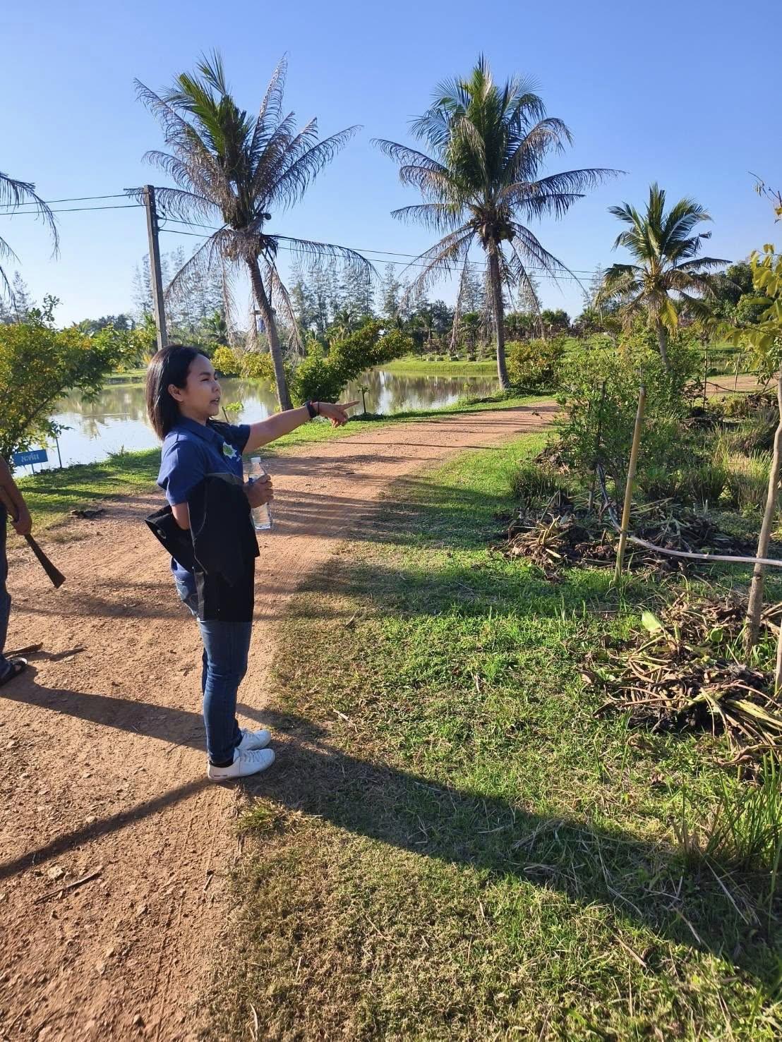 ภาพประกอบที่ 0