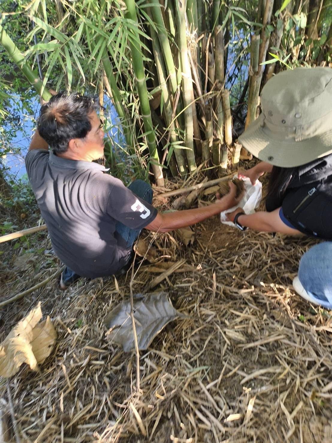 ภาพประกอบที่ 1