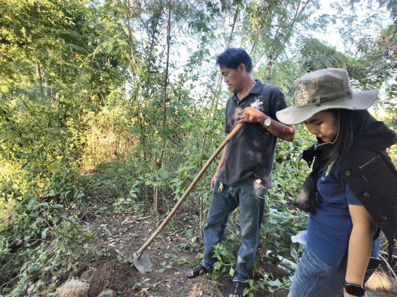 ภาพประกอบที่ 2