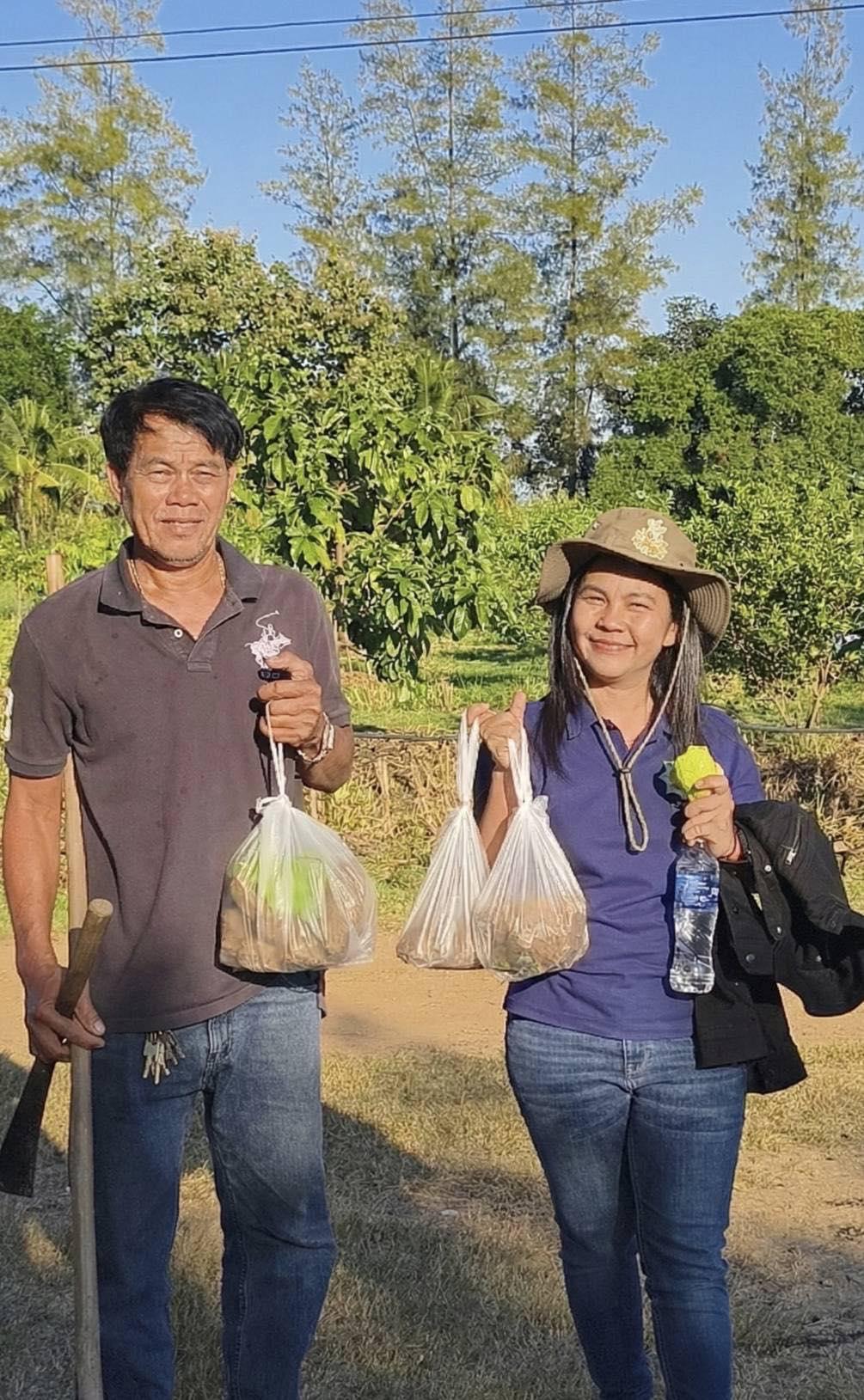 ภาพประกอบที่ 3