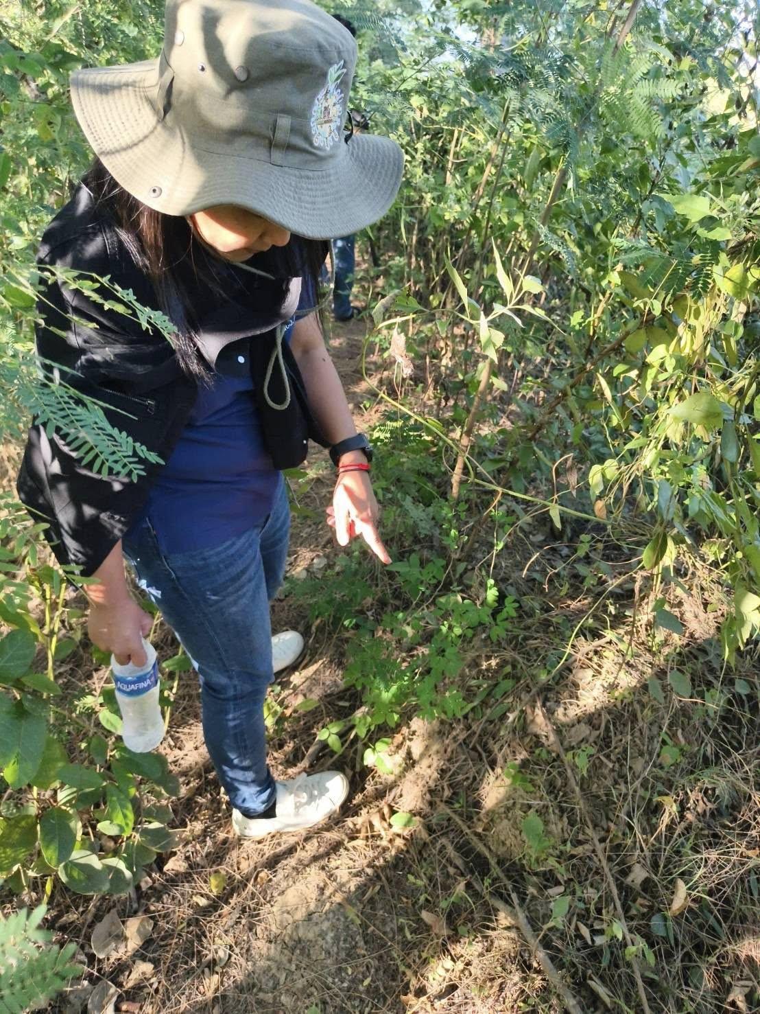 ภาพประกอบที่ 6