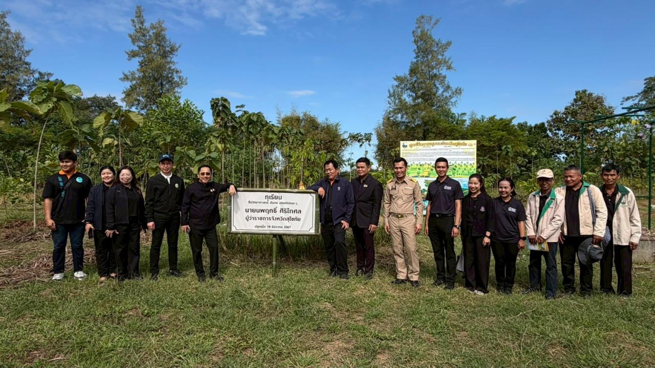 ภาพประกอบที่ 15