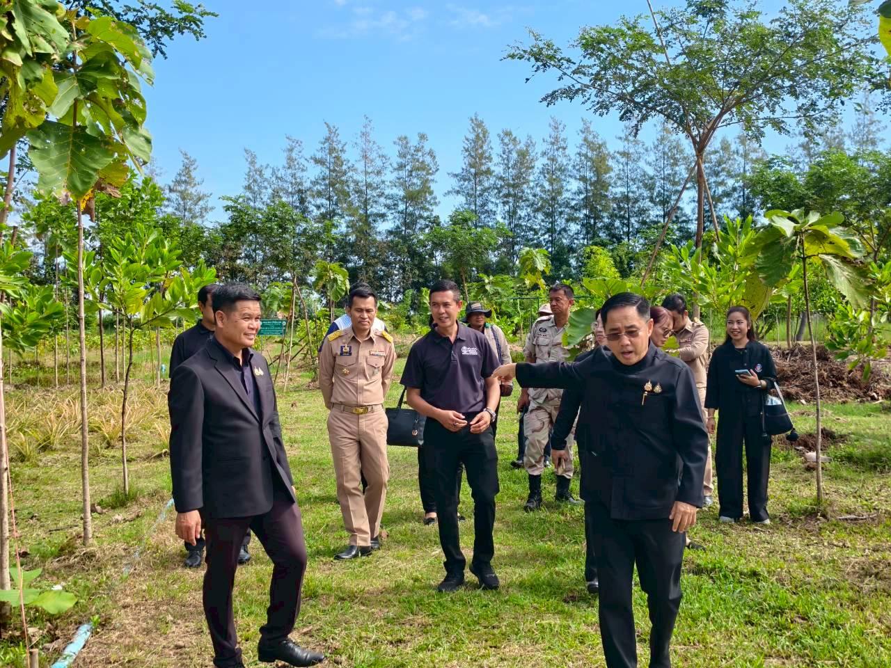 ภาพประกอบที่ 16