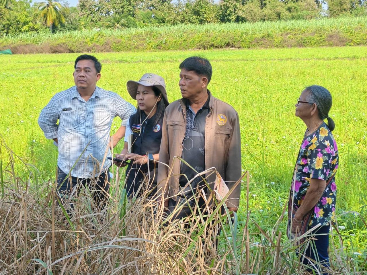 ภาพประกอบที่ 5
