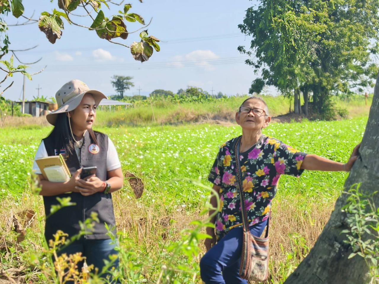 ภาพประกอบที่ 6