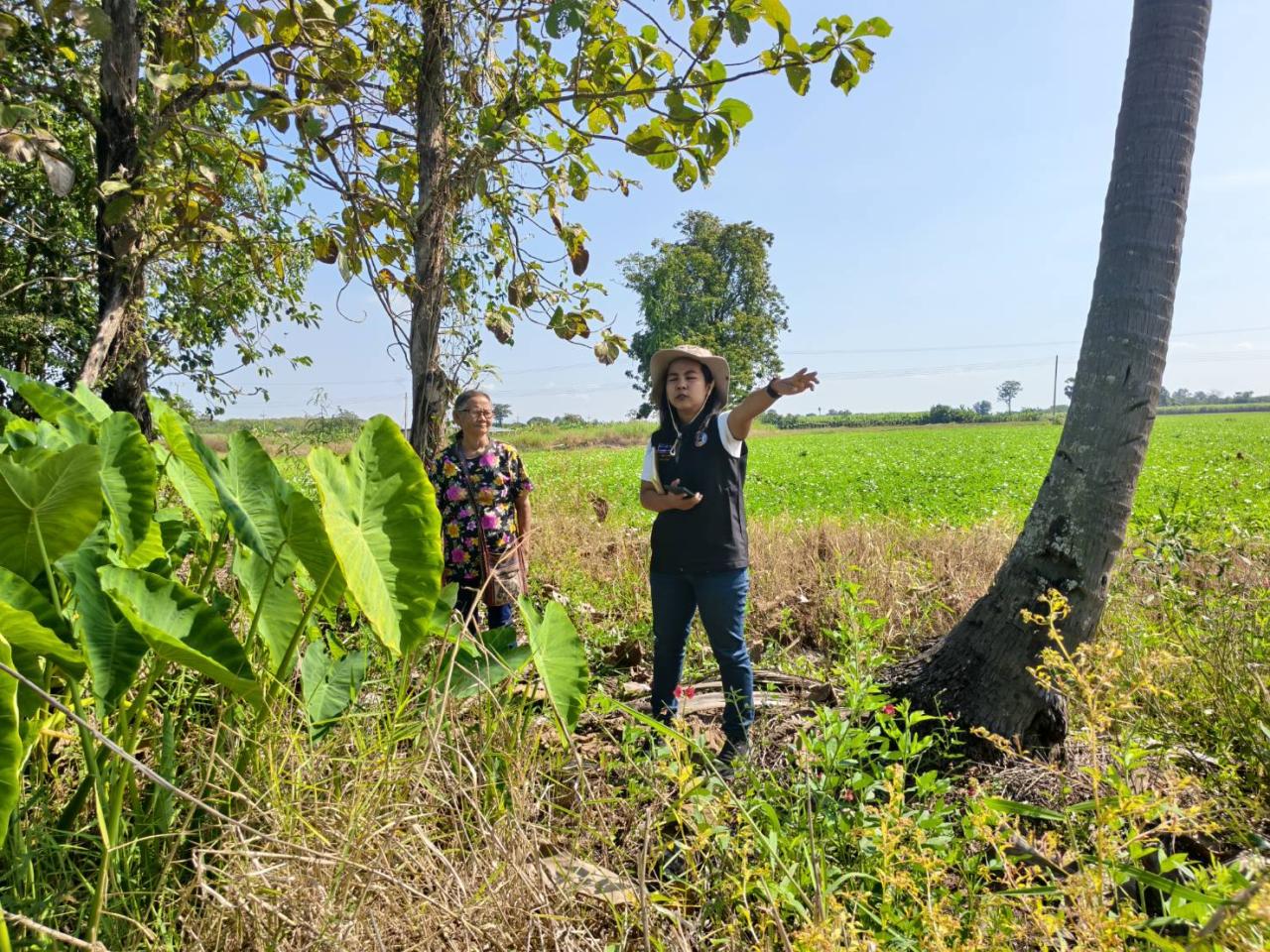 ภาพประกอบที่ 7