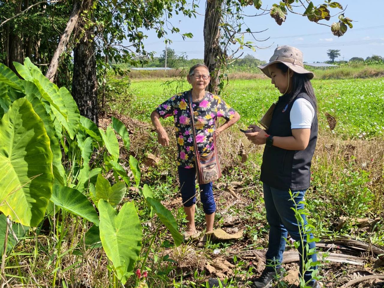 ภาพประกอบที่ 8