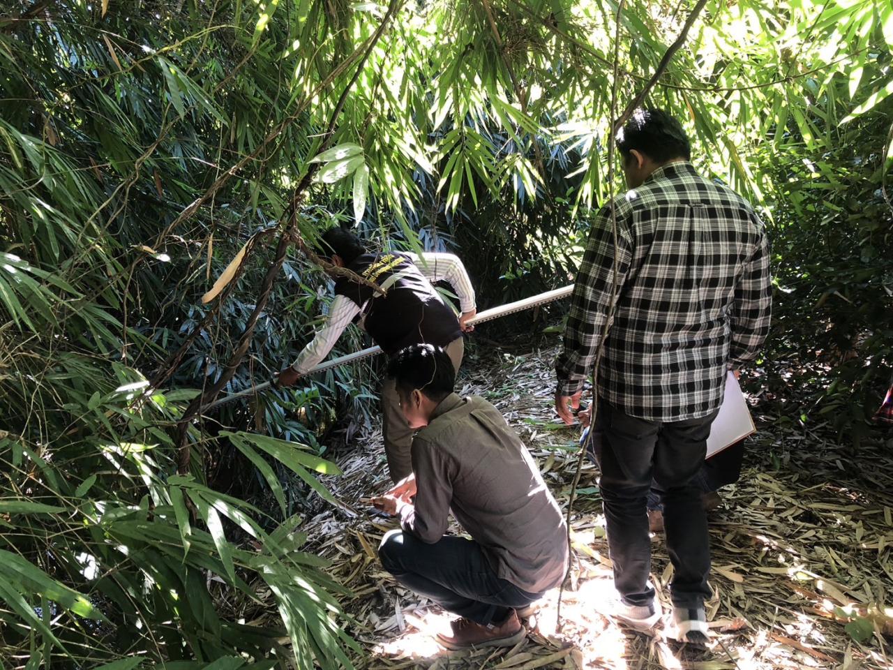 ภาพประกอบที่ 1