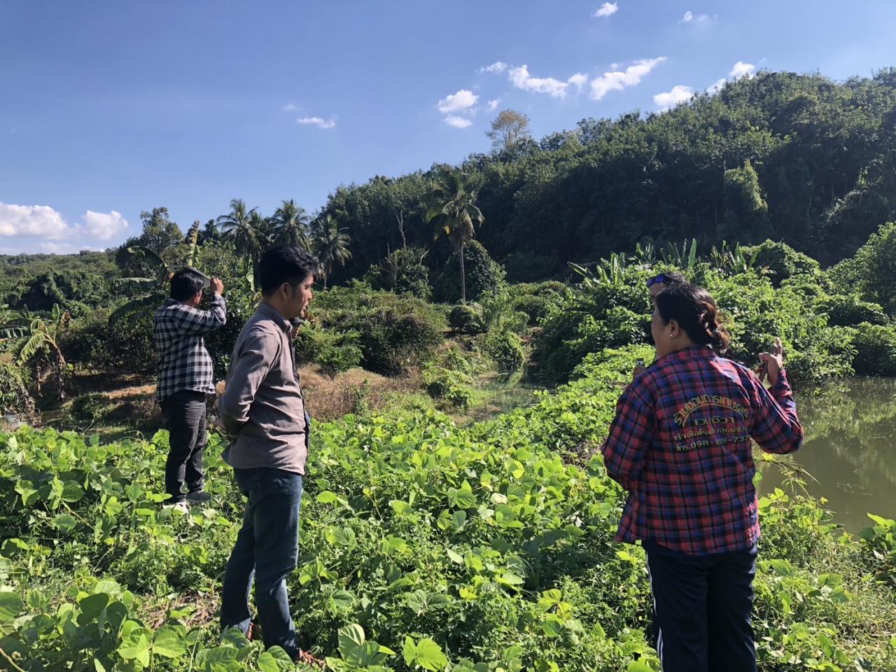 ภาพประกอบที่ 4