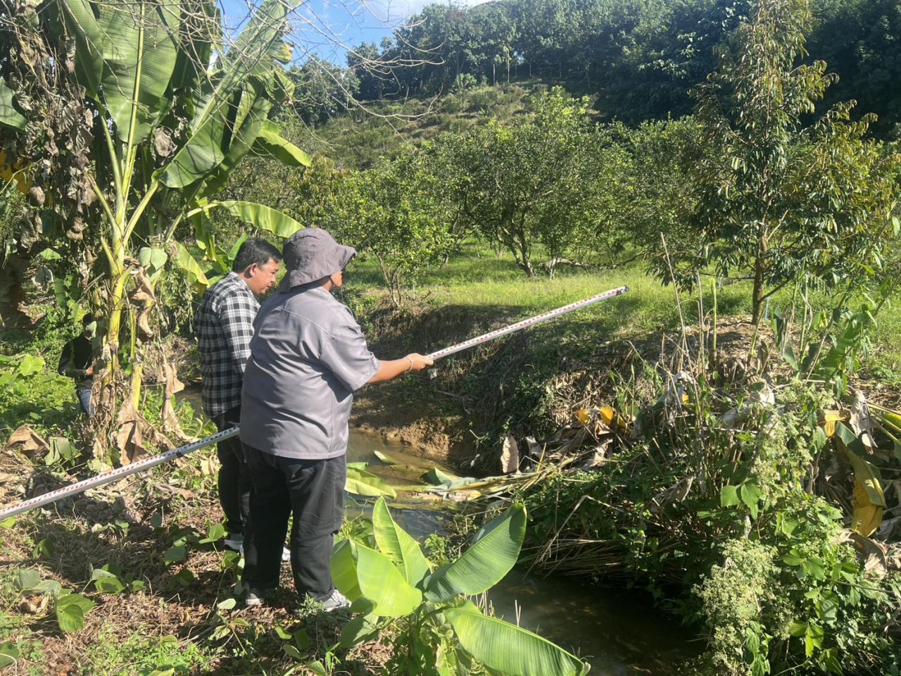 ภาพประกอบที่ 5