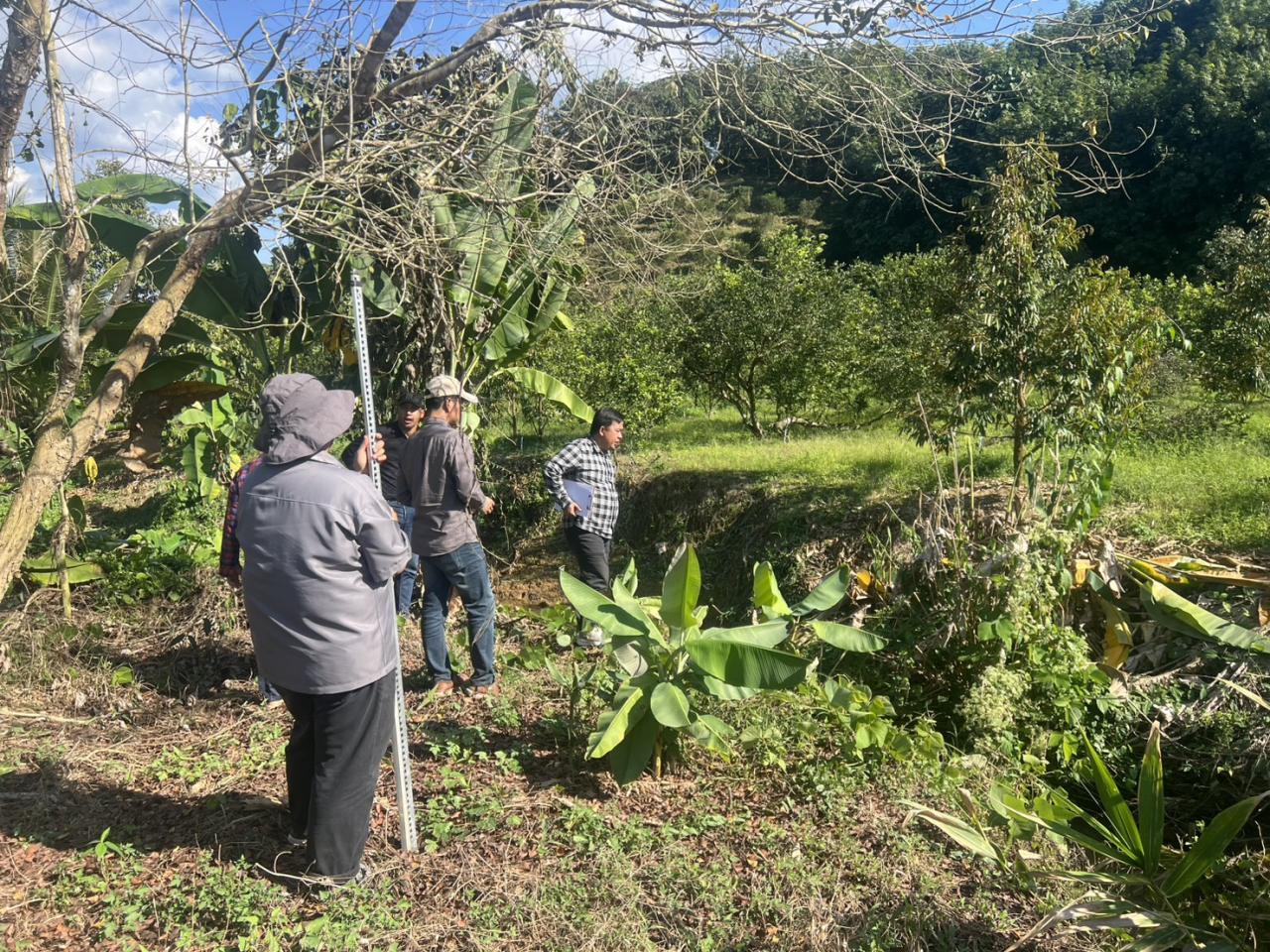 ภาพประกอบที่ 6
