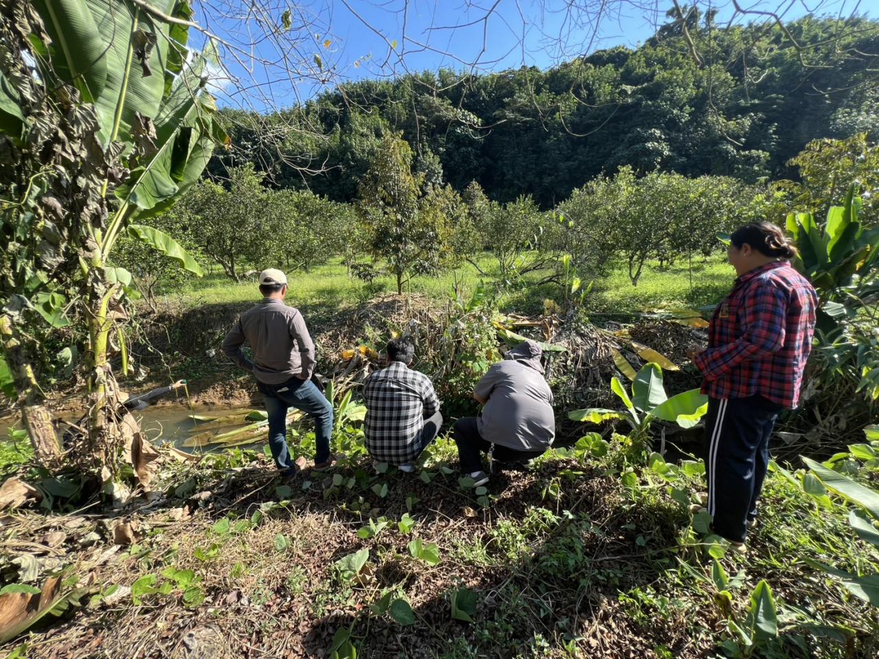 ภาพประกอบที่ 7