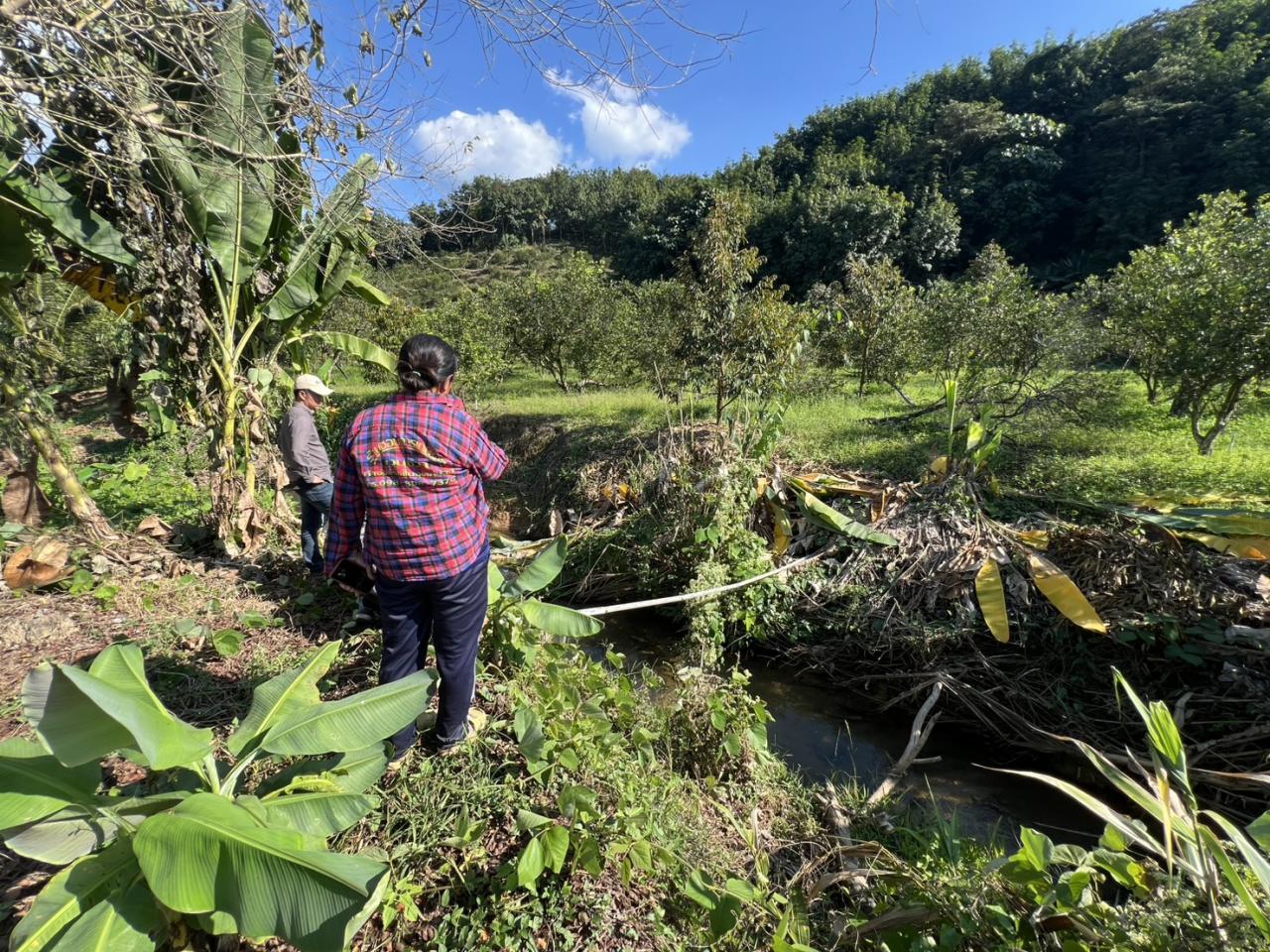 ภาพประกอบที่ 8