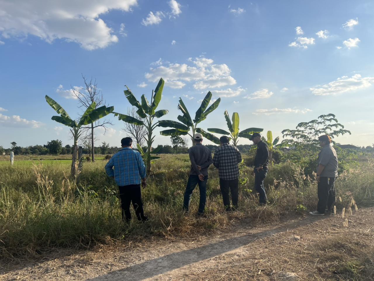 ภาพประกอบที่ 14