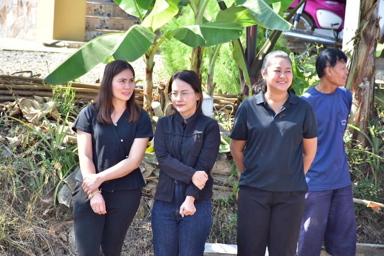 ภาพประกอบที่ 1