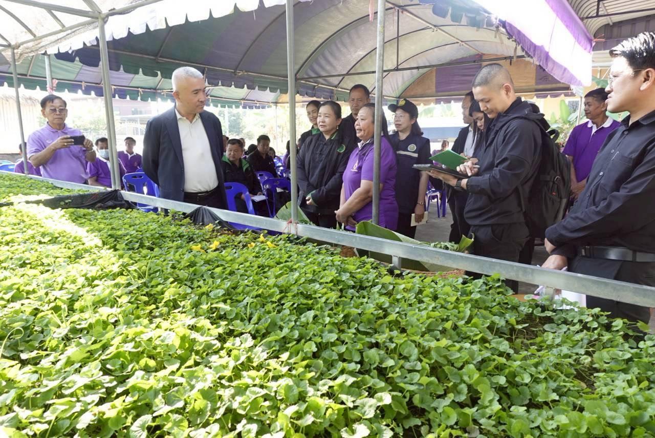 ภาพประกอบที่ 4