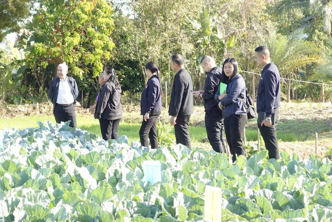 ภาพประกอบที่ 5