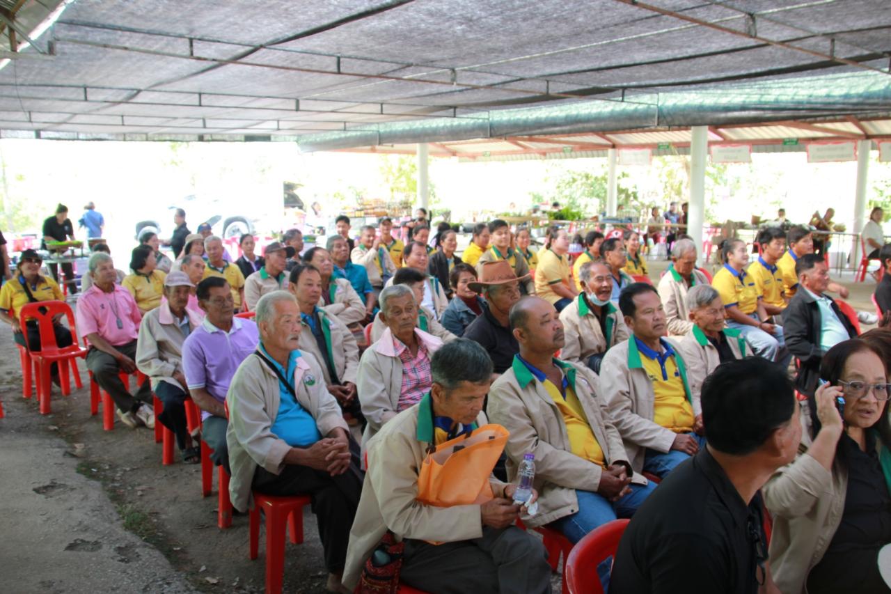 ภาพประกอบที่ 6