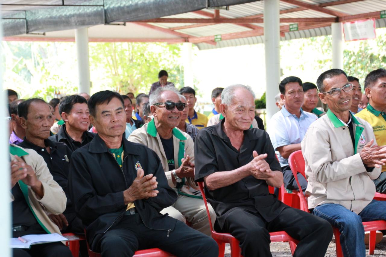 ภาพประกอบที่ 8