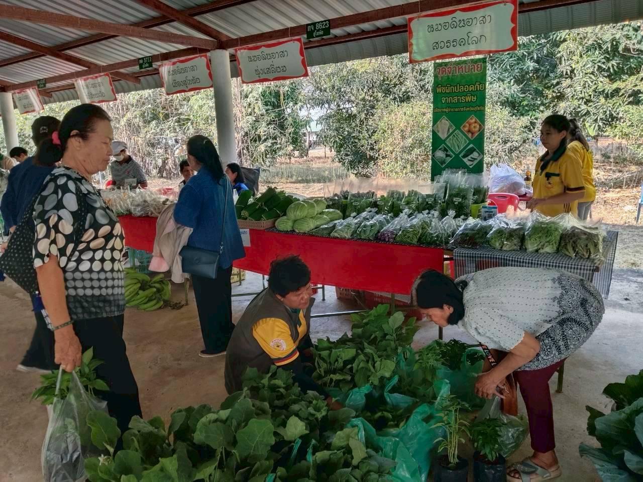 ภาพประกอบที่ 11