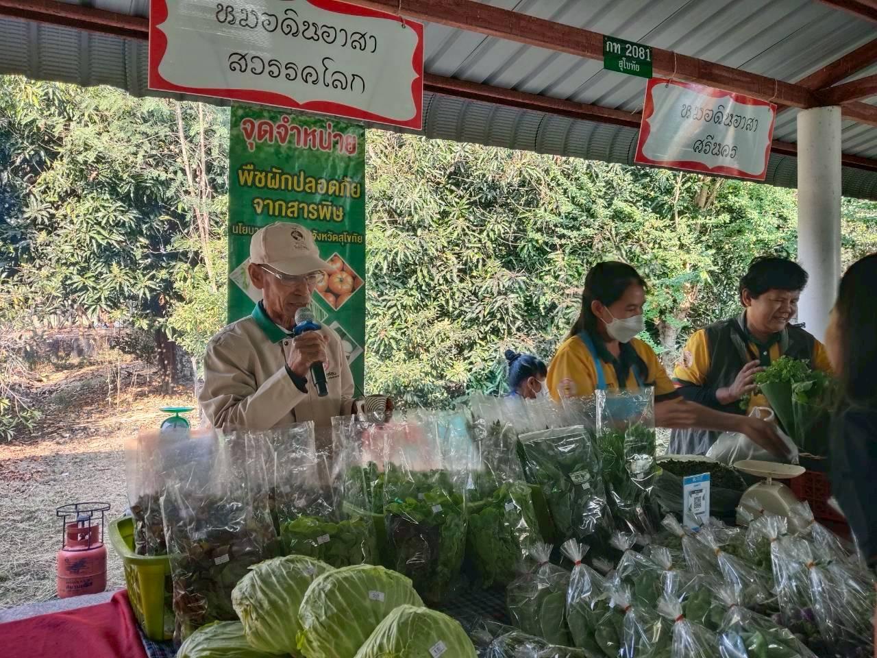 ภาพประกอบที่ 12