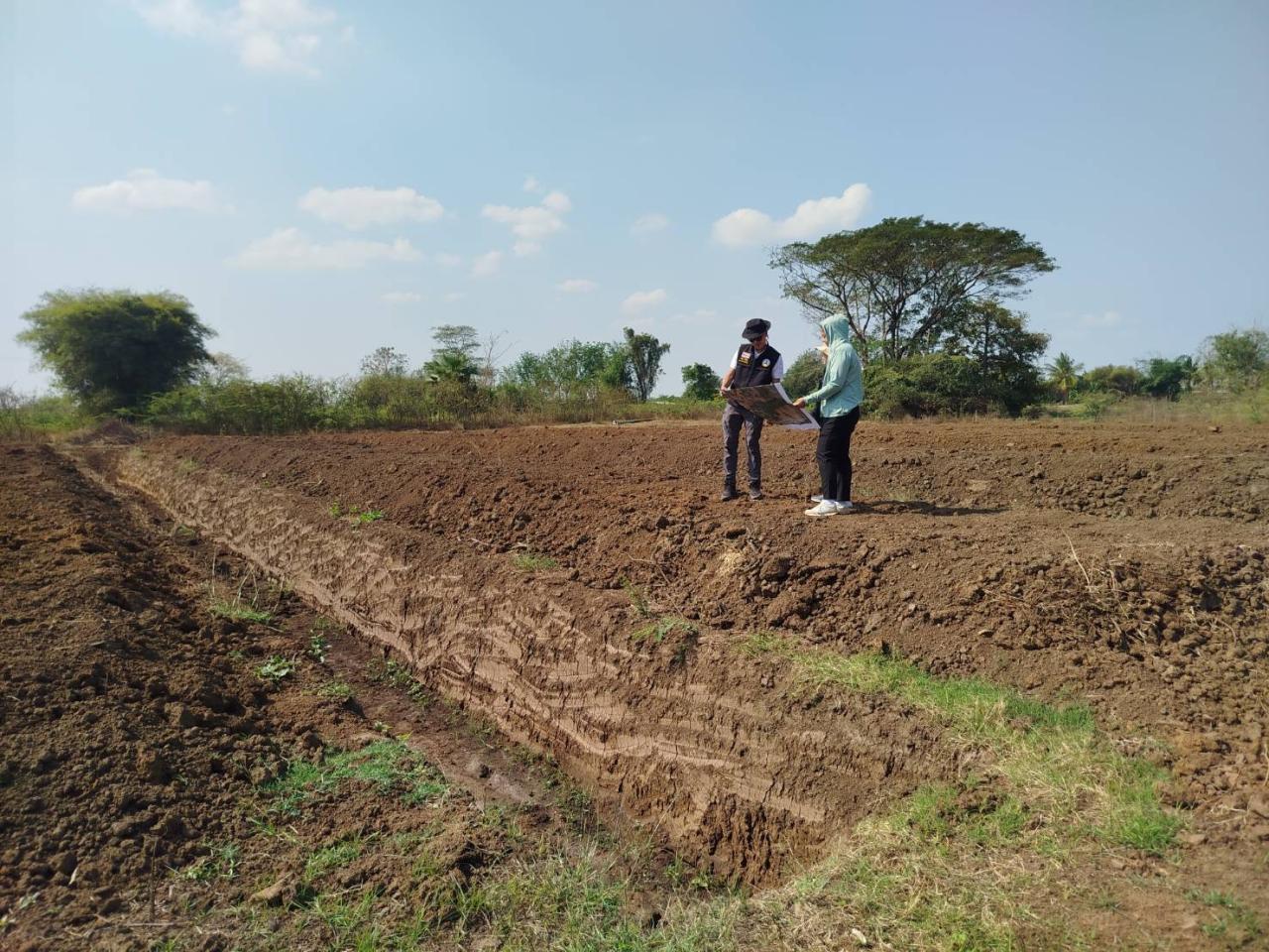 ภาพประกอบที่ 8