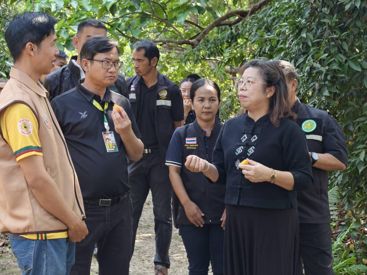 ภาพประกอบที่ 5