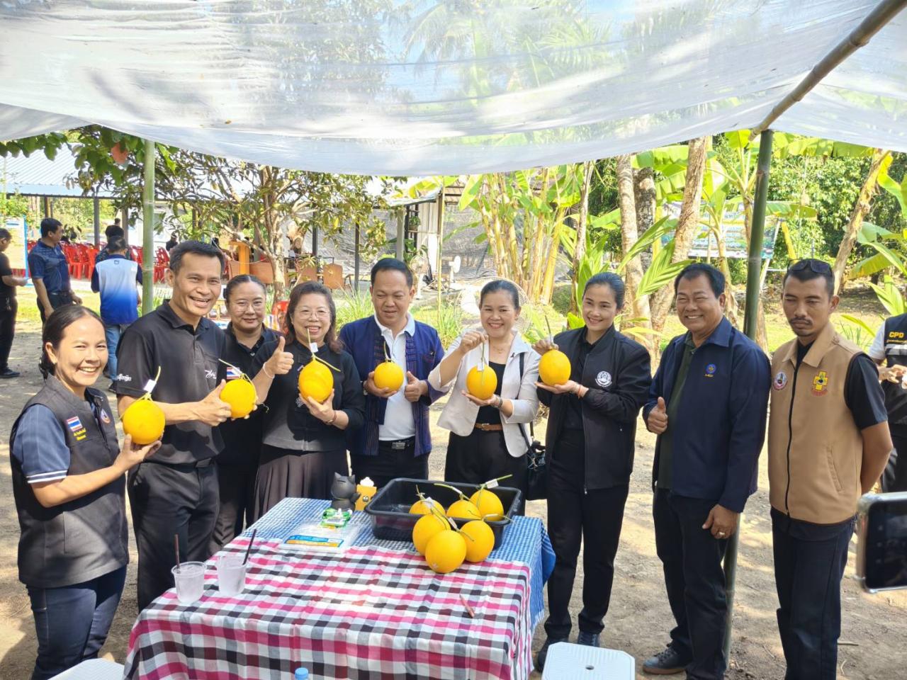 ภาพประกอบที่ 7