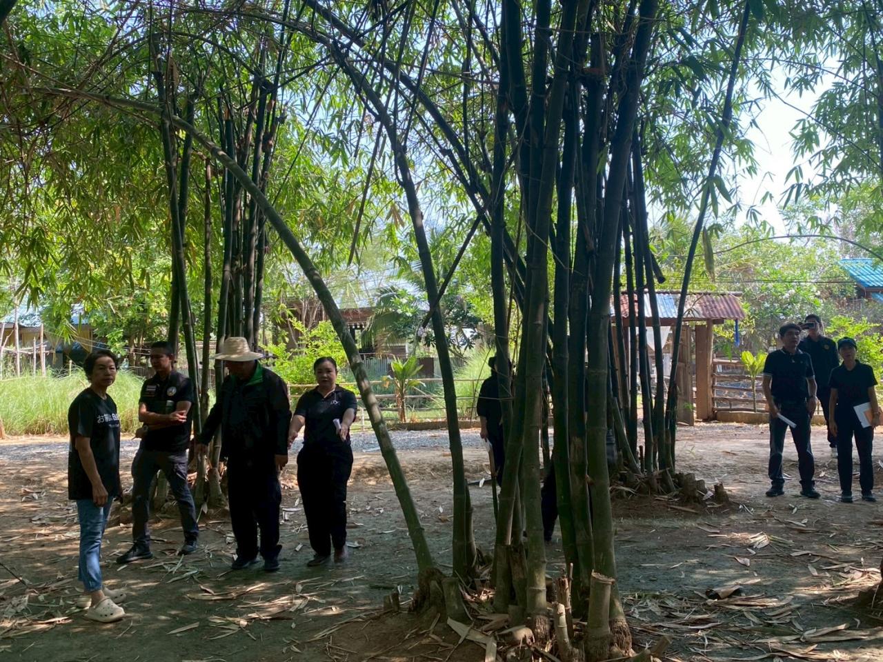 ภาพประกอบที่ 22