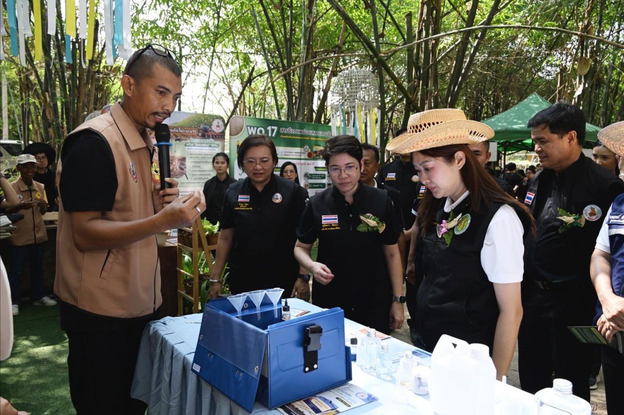 ภาพประกอบที่ 11