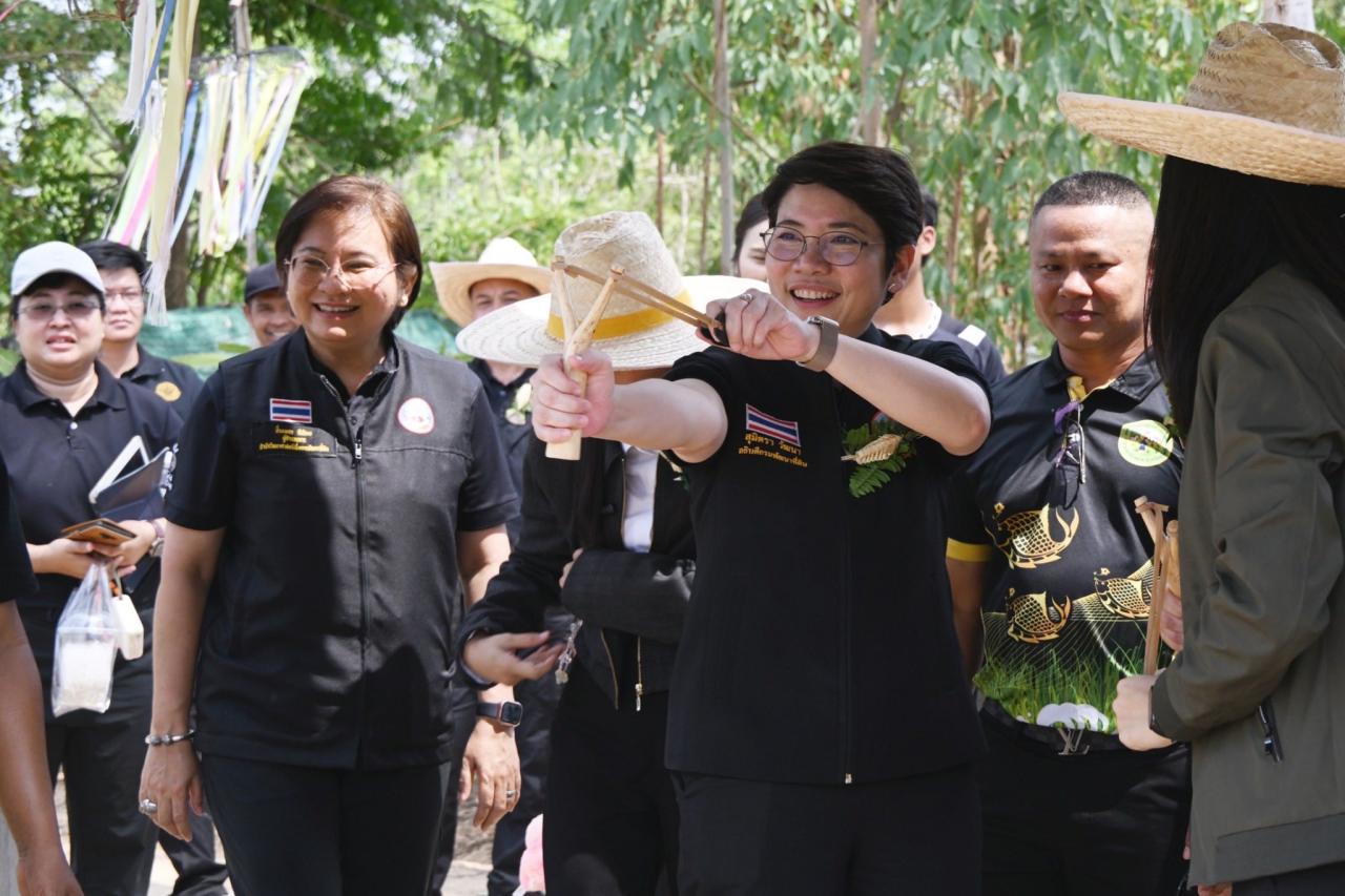ภาพประกอบที่ 17