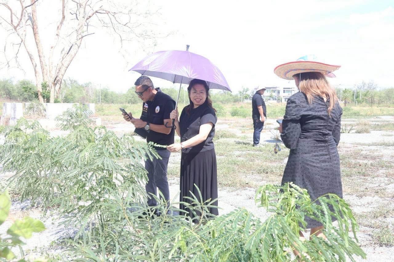ภาพประกอบที่ 0