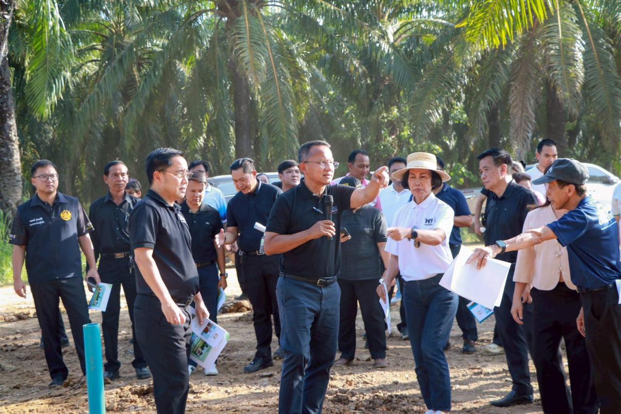 ภาพประกอบที่ 4