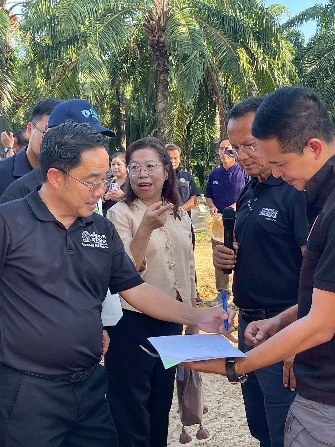ภาพประกอบที่ 11