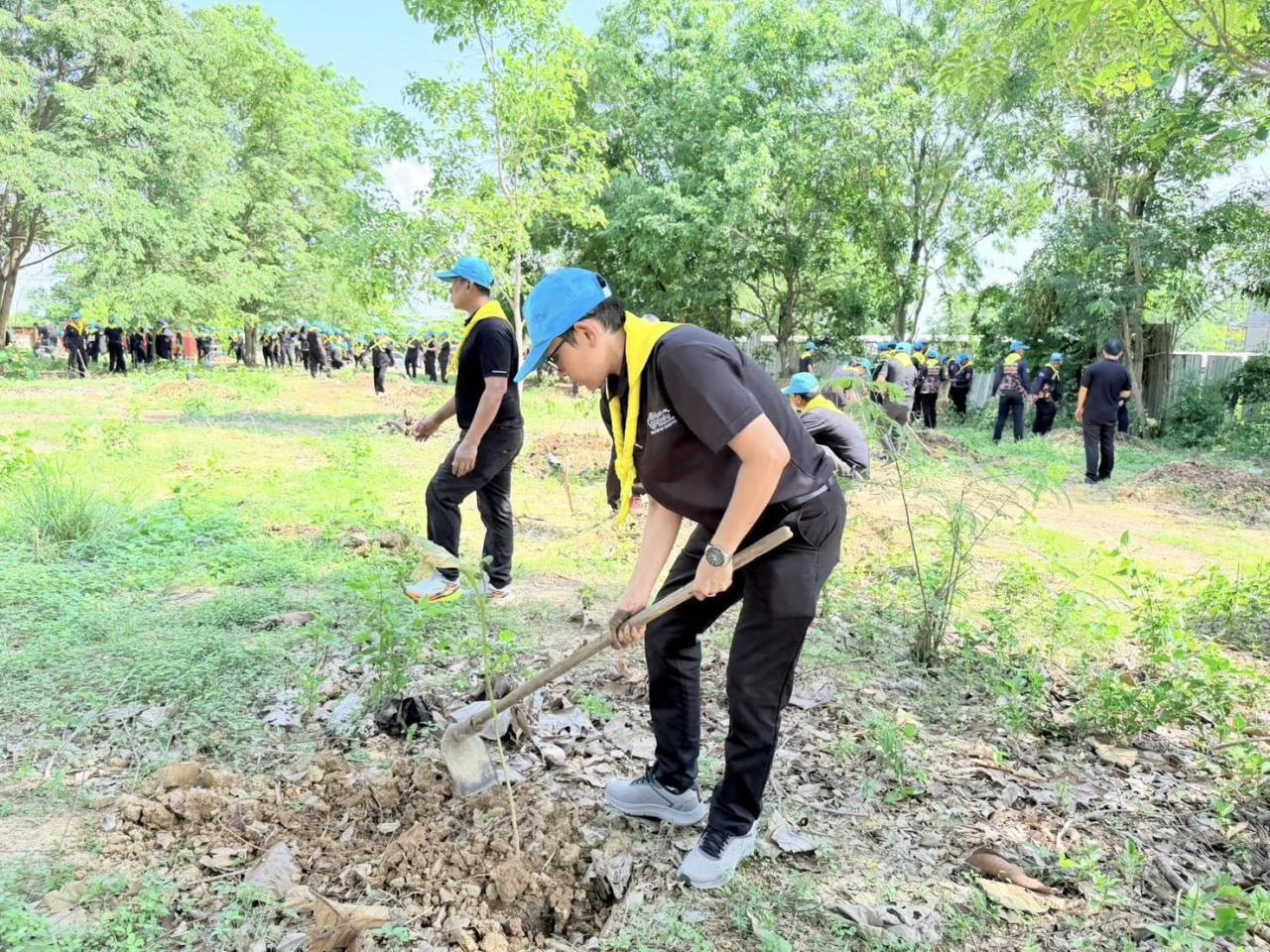 ภาพประกอบที่ 6