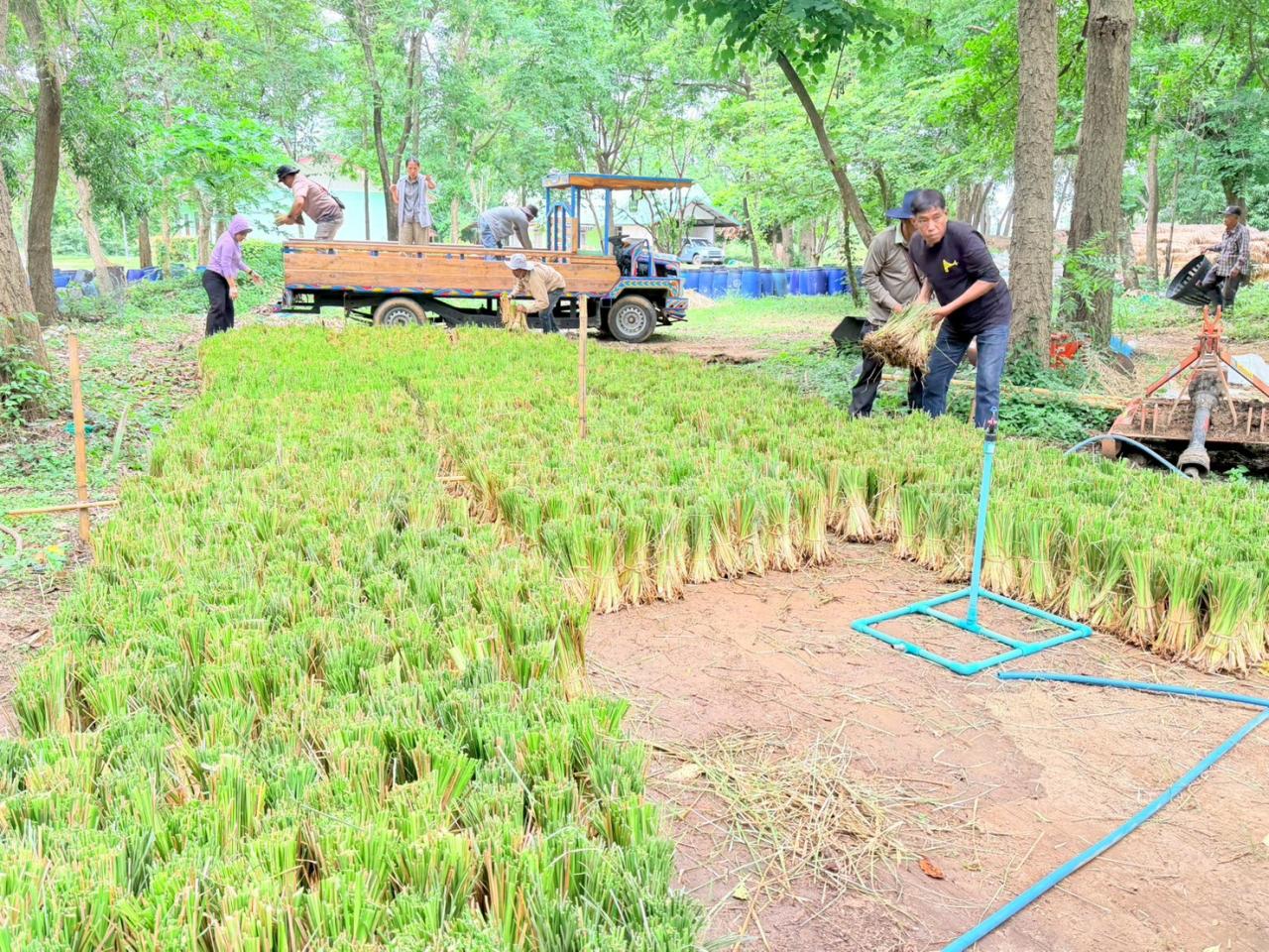 ภาพประกอบที่ 0