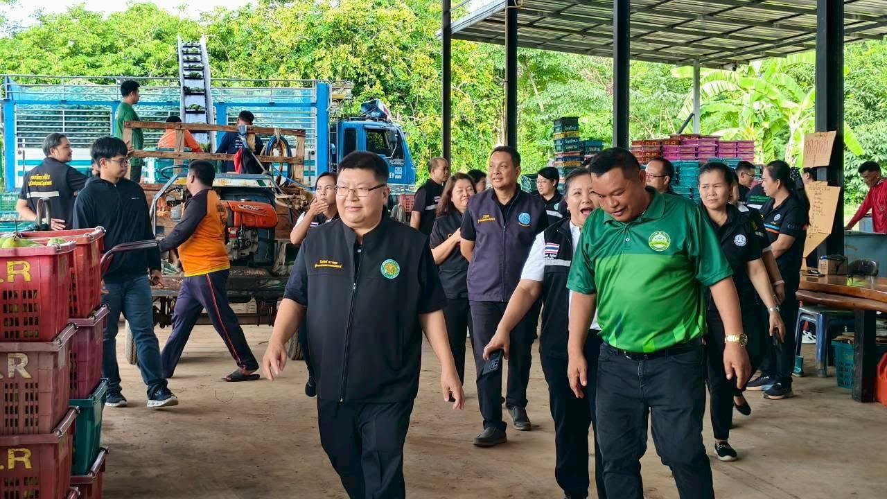 ภาพประกอบที่ 8